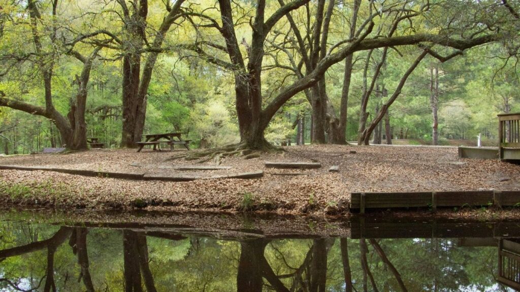 Addiction Treatment Near Boiling Springs, SC