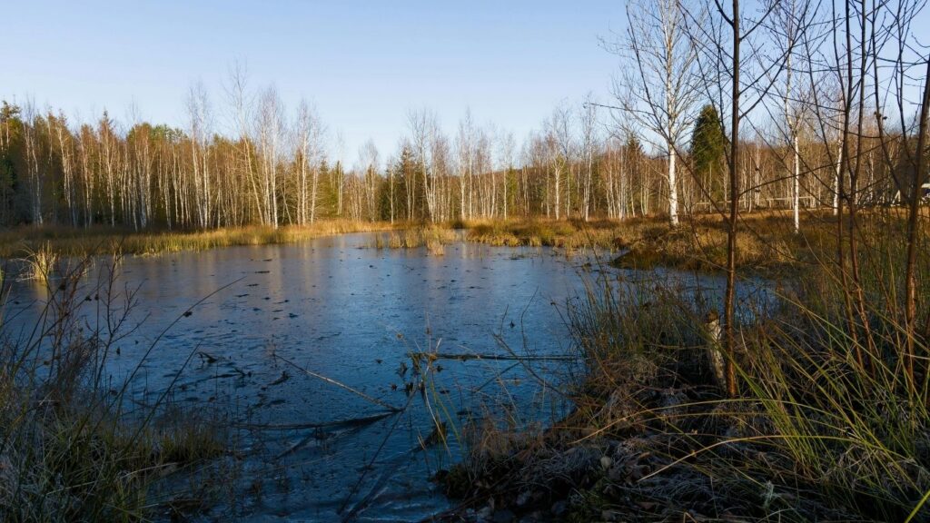 Addiction Treatment Near Duncan, SC