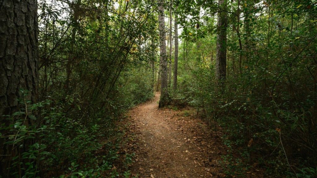 Addiction Treatment Near Lyman, SC