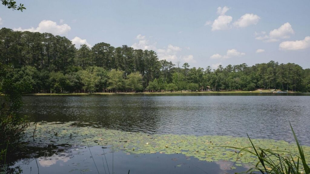 Addiction Treatment Near Powdersville, SC