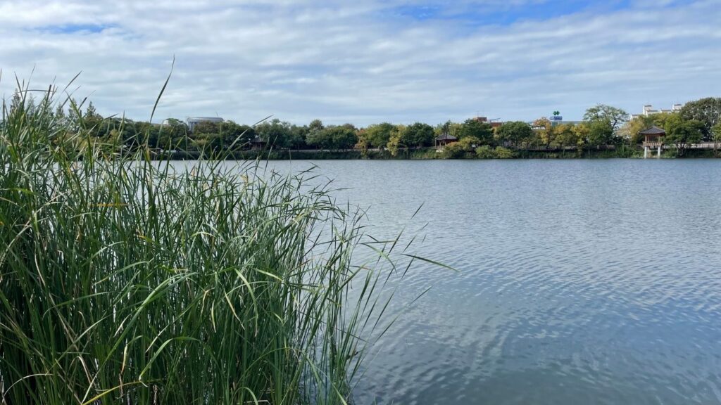 Addiction Treatment Near Seneca, SC