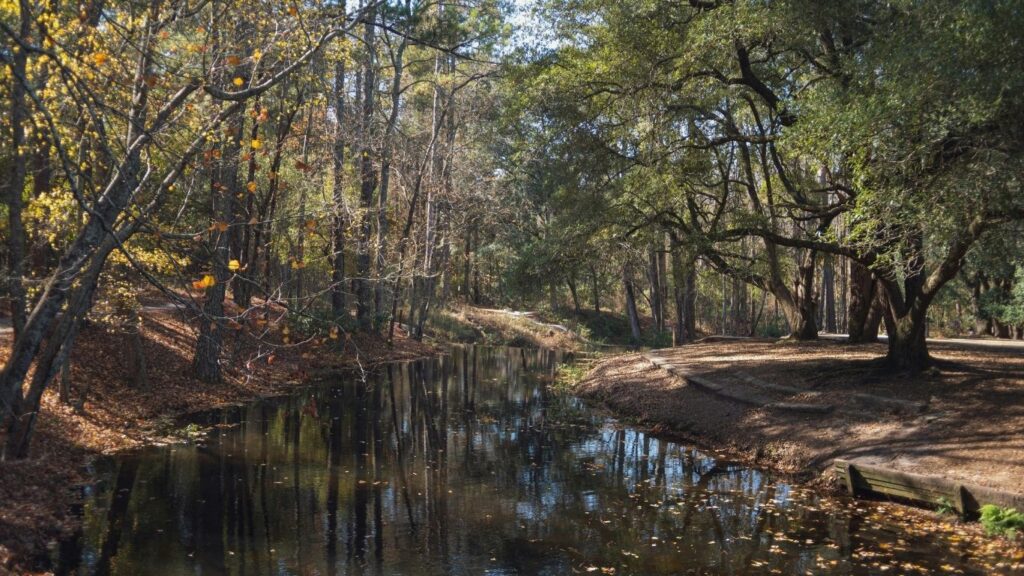 Addiction Treatment Near Travelers Rest, SC