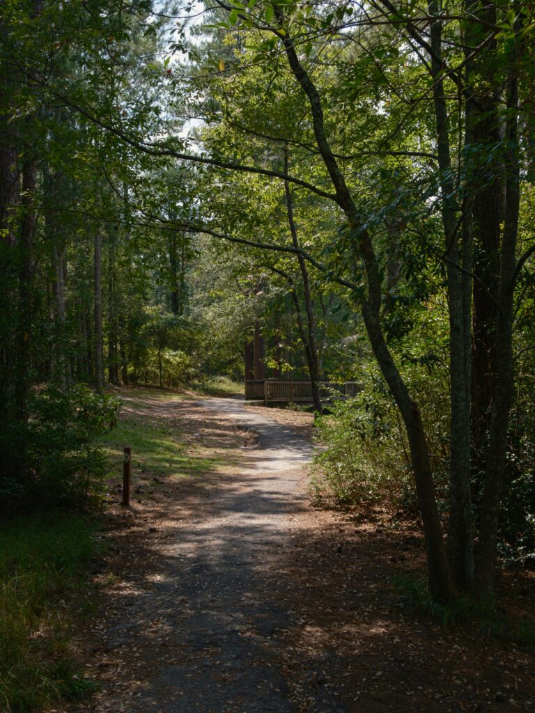 How to Know If Outpatient Treatment in Greenville Is Right for You