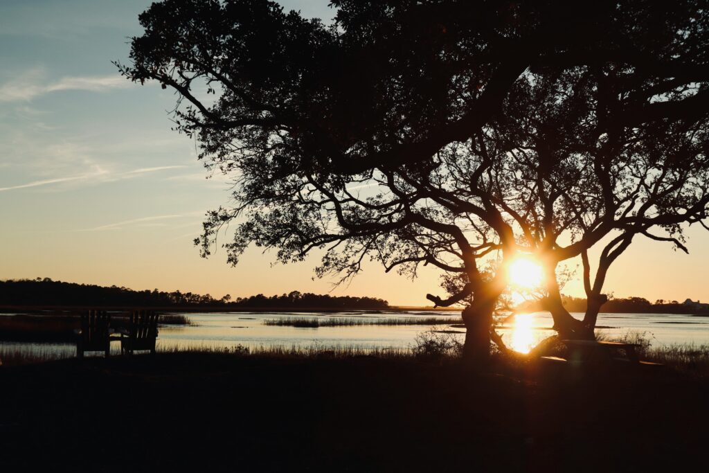 Relapse Prevention During Summer in Greenville: How to Protect Your Recovery